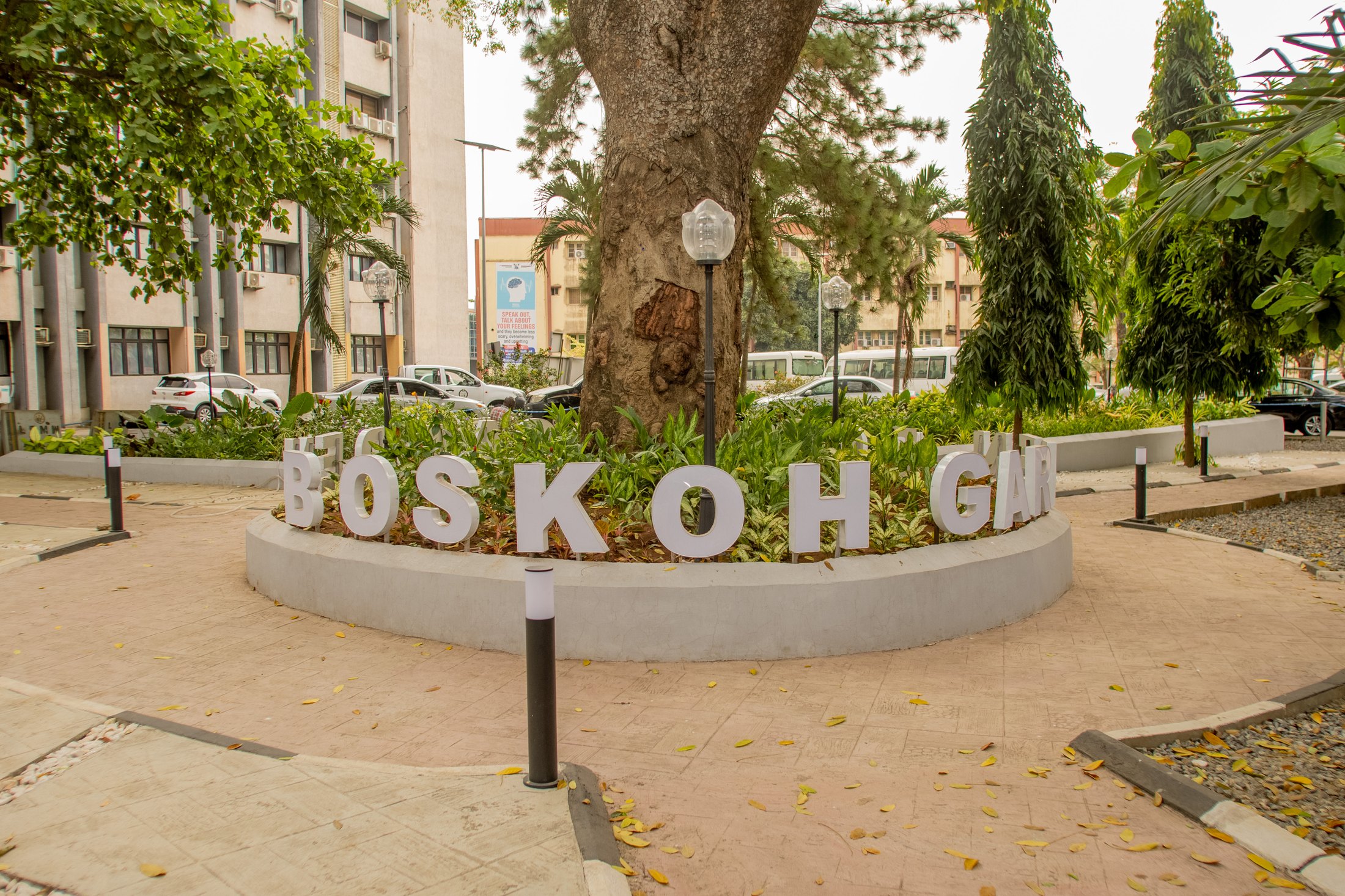 Boskoh Garden entrance and identity planting
