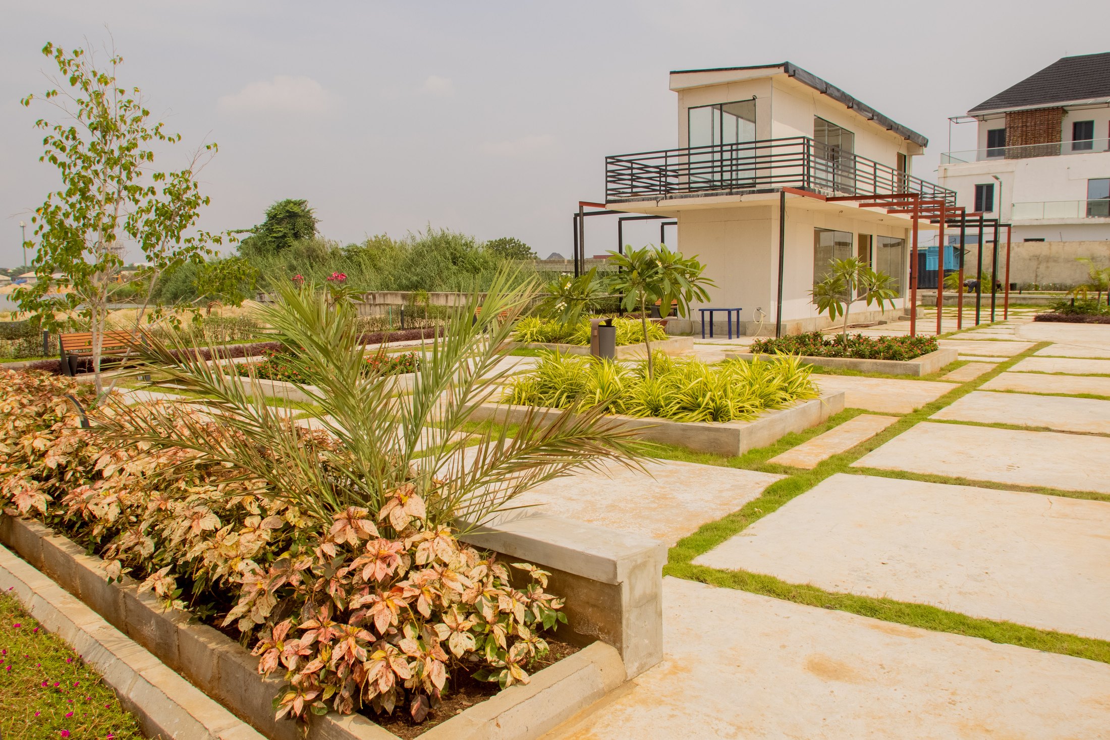 Integrated planting and paving detail