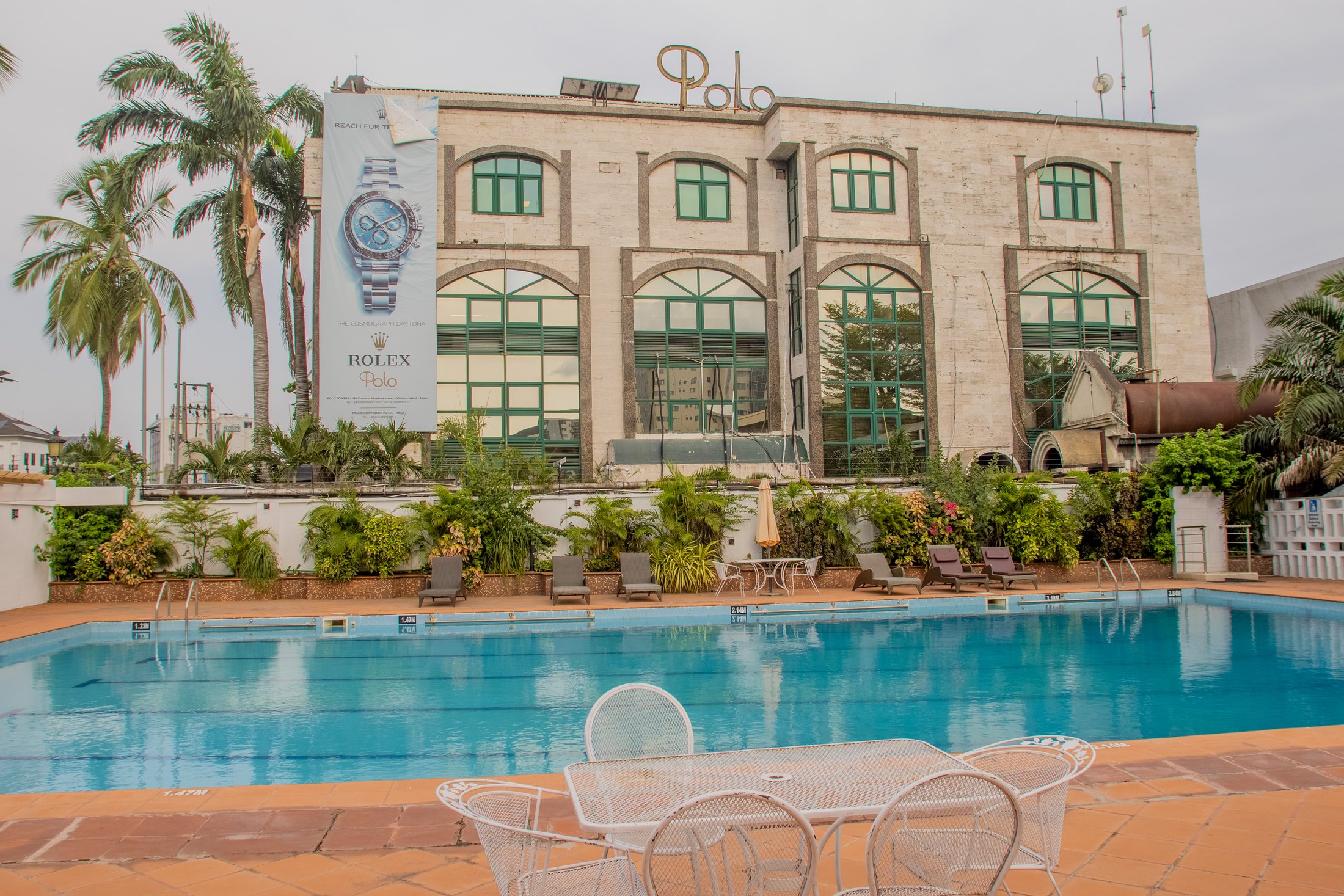 Mature palms framing a hospitality pool terrace