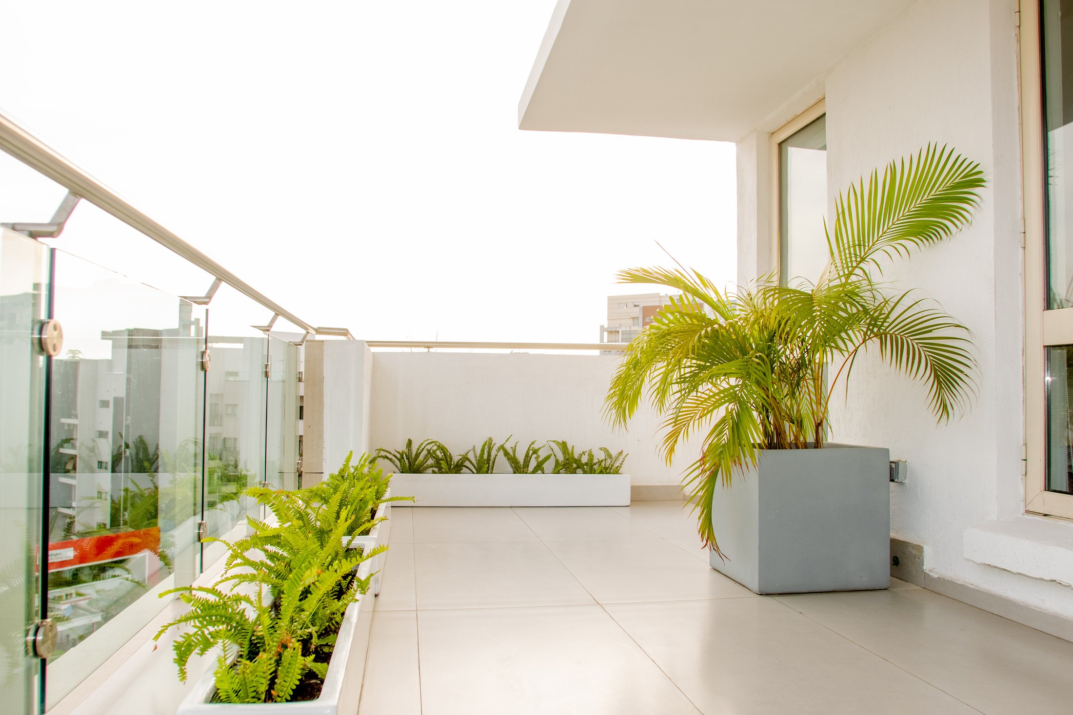 Balcony planting composition